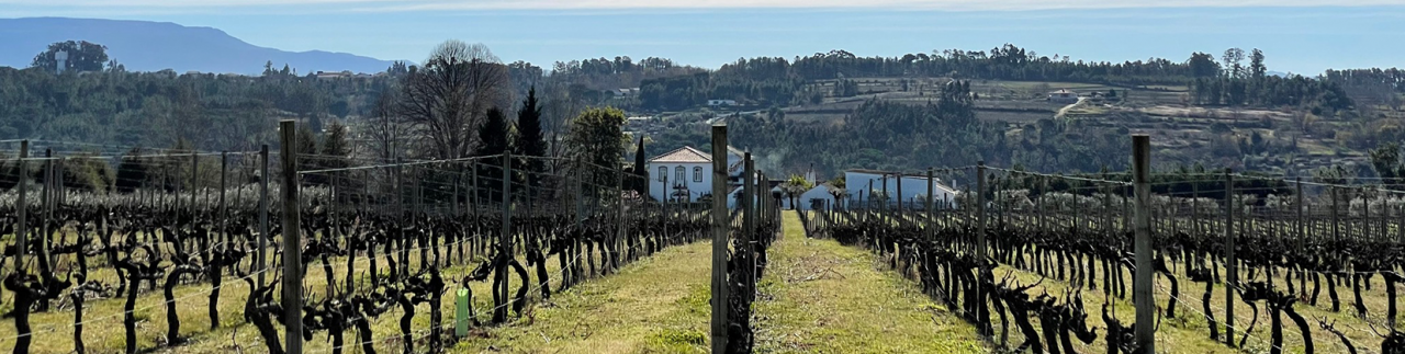 Quinta da Fata