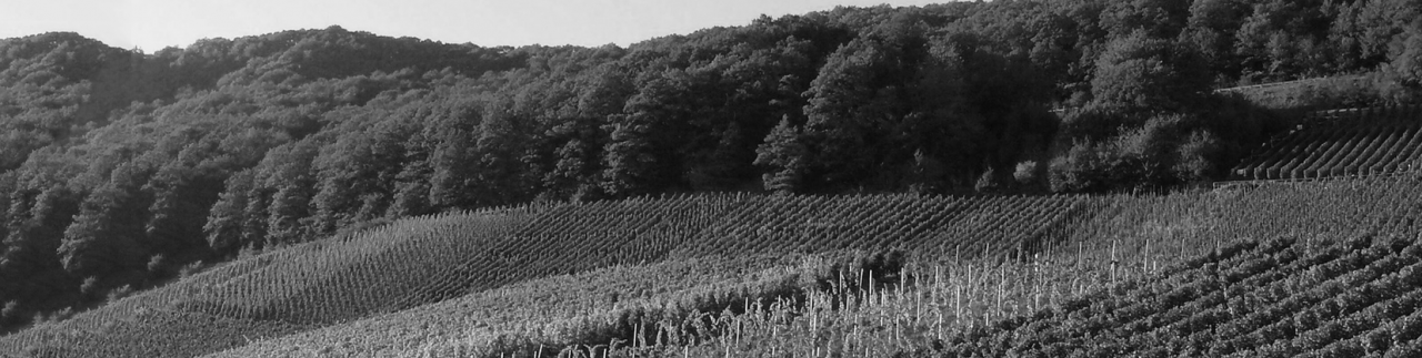 Château La Grave Figeac