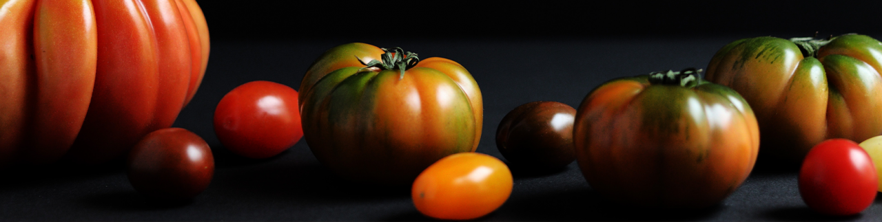 Tomaten